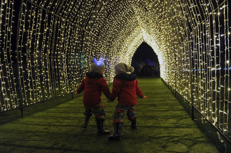 visitor-experience-light-tunnel
