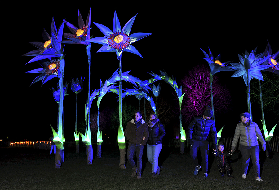 Giant Bluebell Sculpture at Malvern Winter Glow